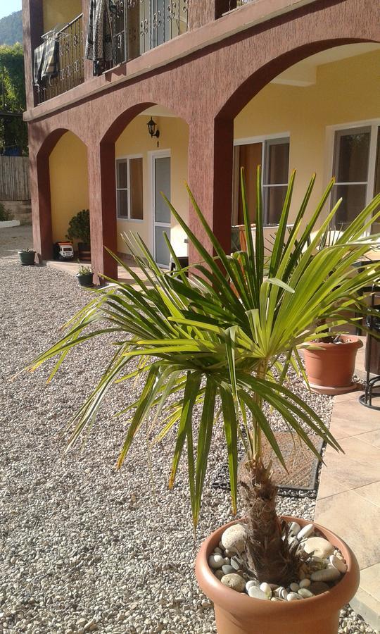 Guest House Amra New Athos Екстер'єр фото