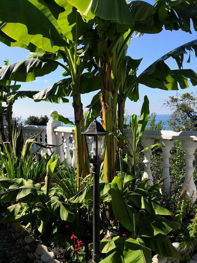 Guest House Amra New Athos Екстер'єр фото